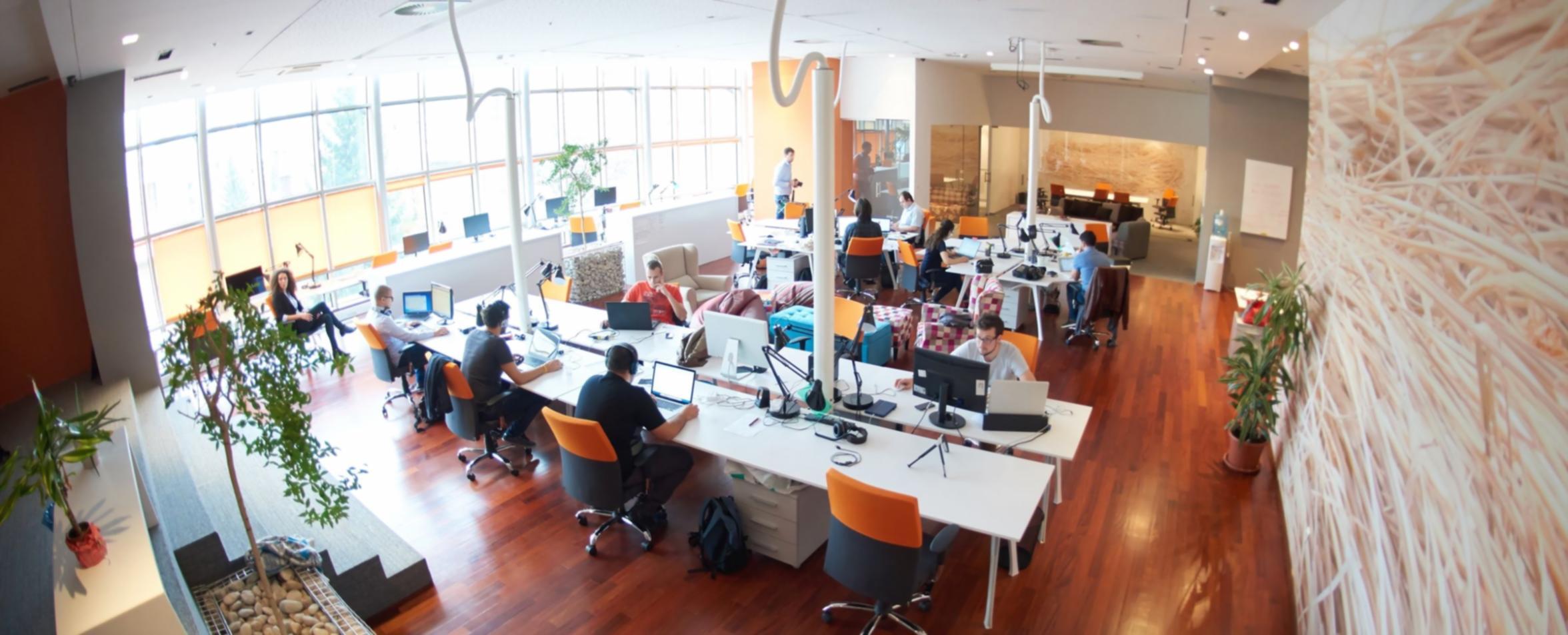 Professionelle Budget-Software-Tools in Aktion